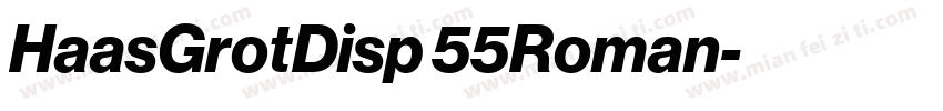 HaasGrotDisp 55Roman字体转换